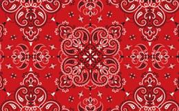 What Is The Bandana Pattern Called Small image